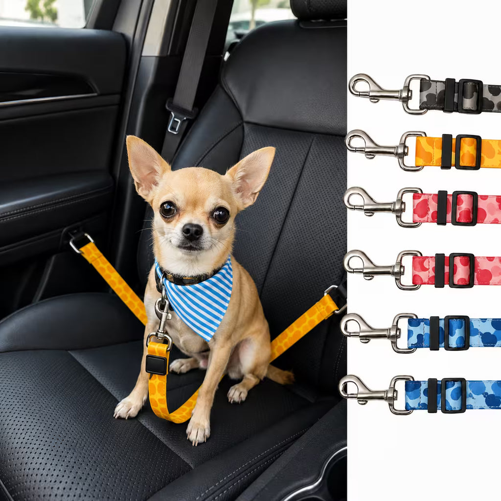 Correa Cinturón Seguridad Carro Mascotas