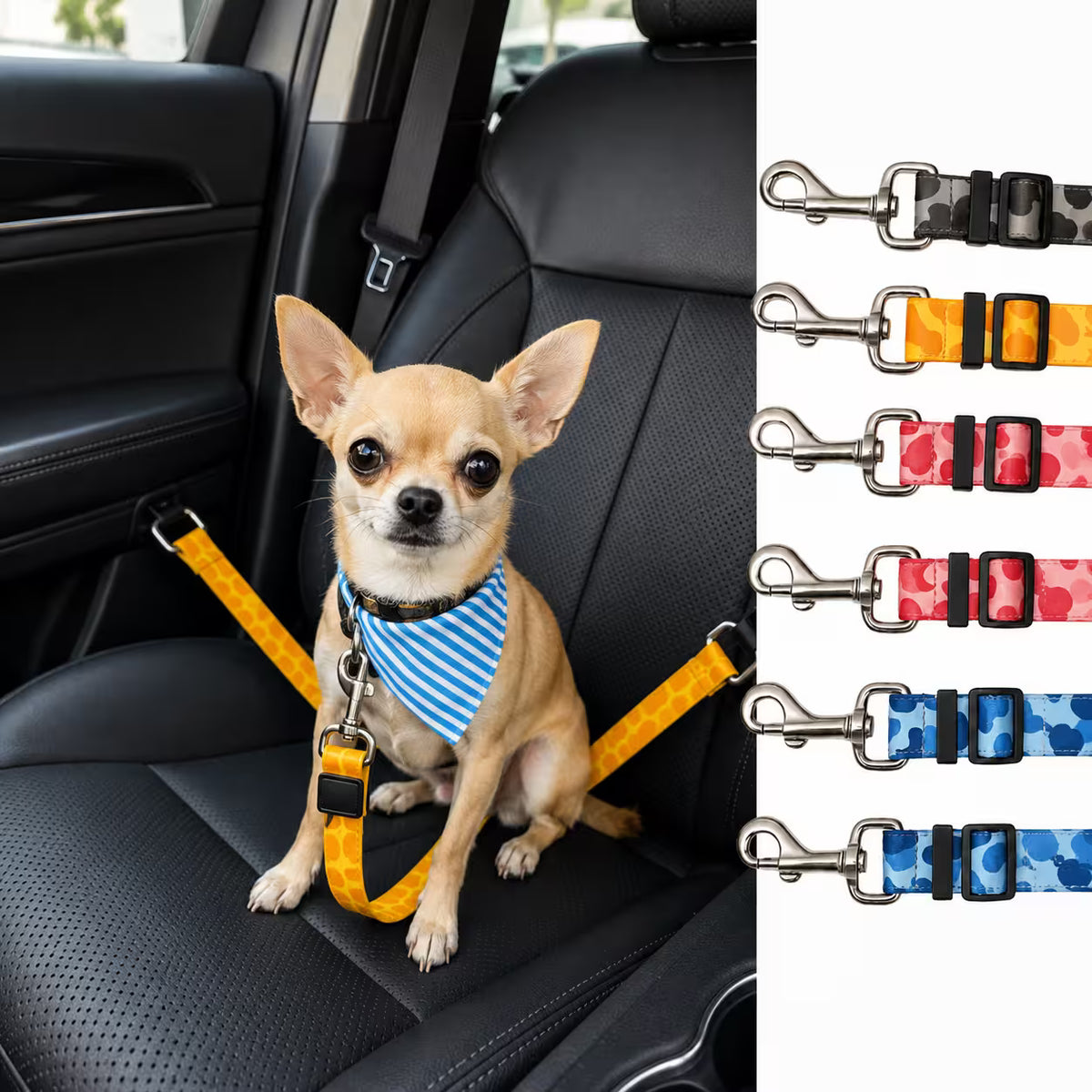 Correa Cinturón Seguridad Carro Mascotas