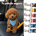 Correa Cinturón Seguridad Carro Mascotas