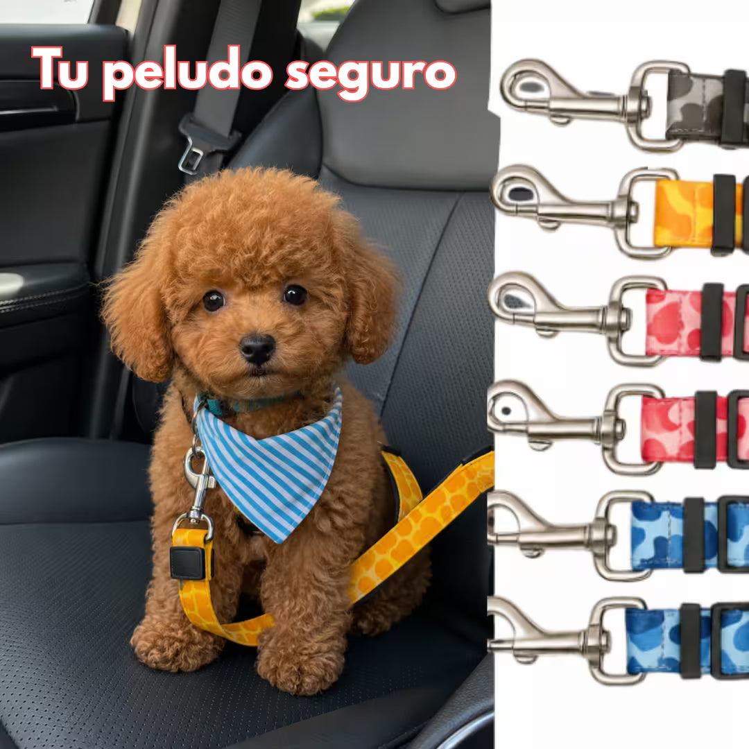 Correa Cinturón Seguridad Carro Mascotas