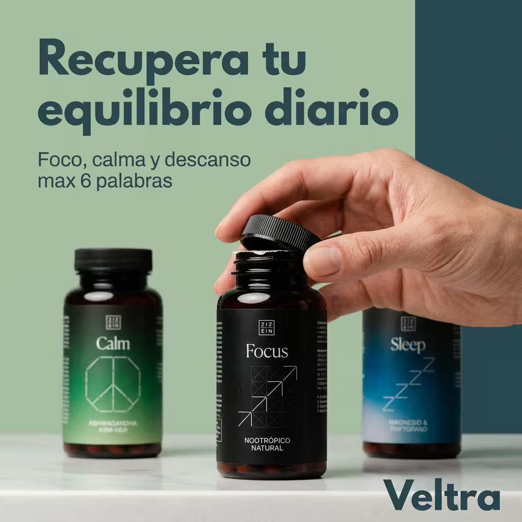 DESARROLLO ZEEN