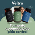 DESARROLLO ZEEN